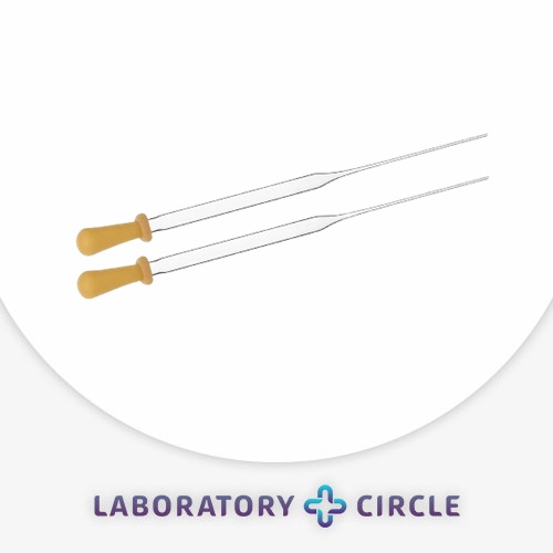 lab2 - Copy - Copy - Copy